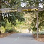 ucdavisarboretum1