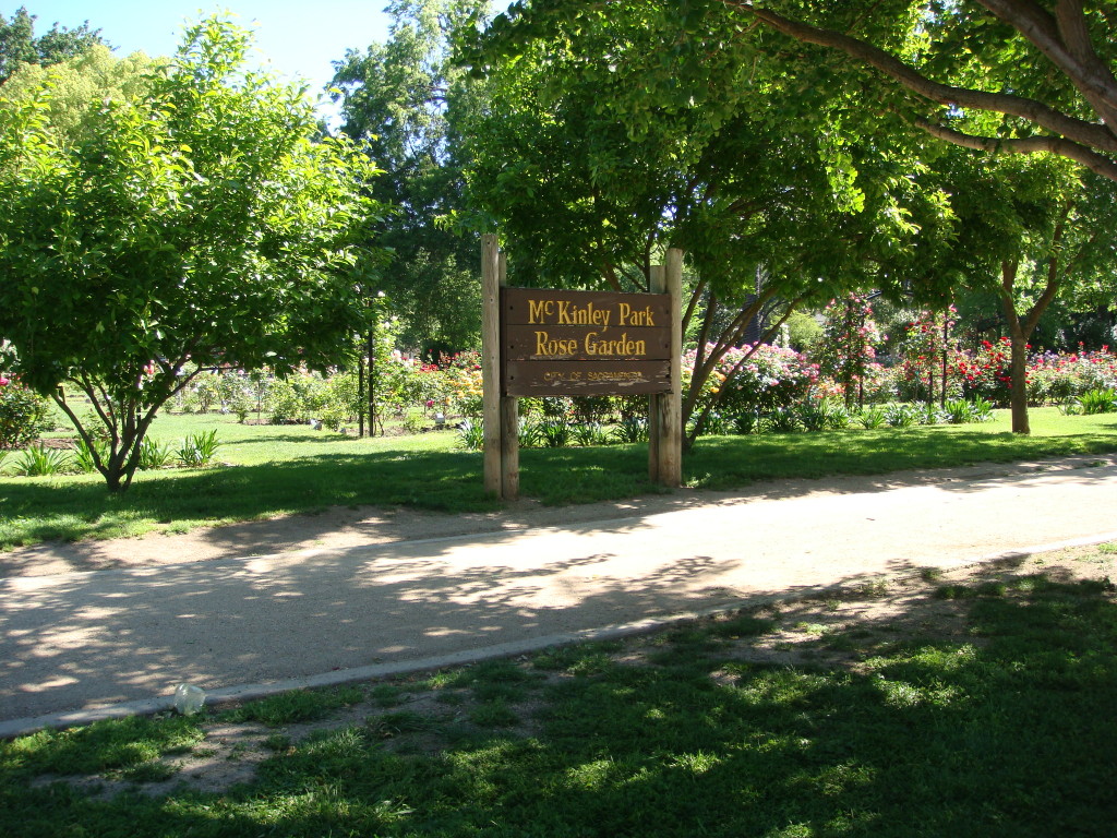 Playing At Mckinley Park : Sacramento Sidetracks