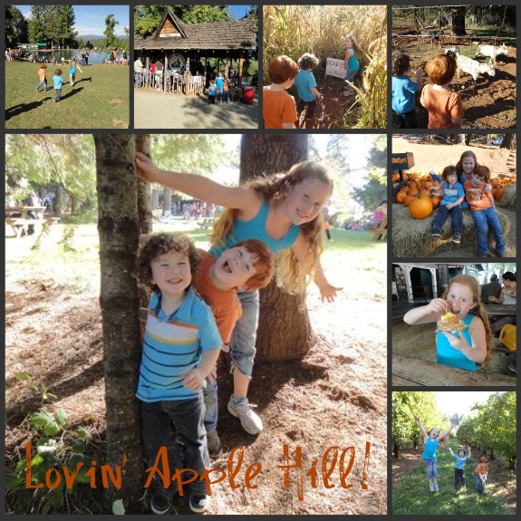 applehillcollage1