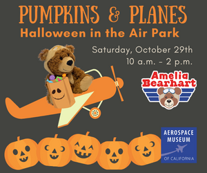 Pumpkins and Planes 300 x 250 banner