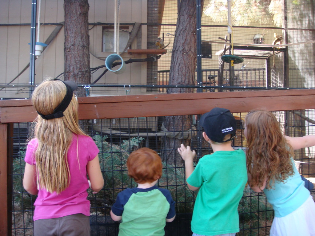 The Folsom City Zoo Sanctuary – Sacramento Sidetracks