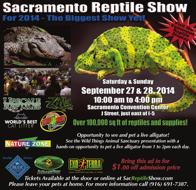 Reptile Show In Sacramento