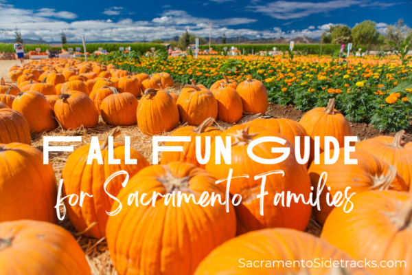 Sacramento Sidetracks – Find Adventure Together